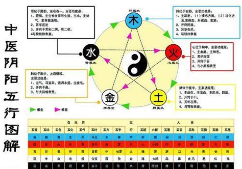 水和金的关系